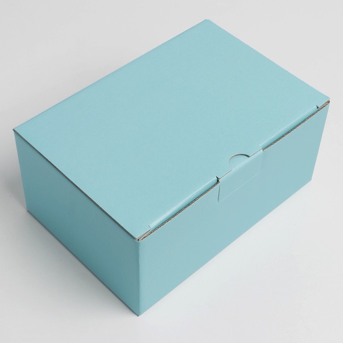 Коробка складная «Тиффани», 22 х 15 х 10 см